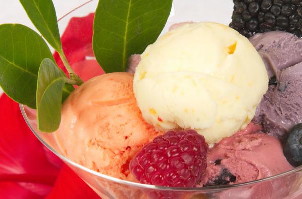 Sugarless Dairy-Free Ice Cream