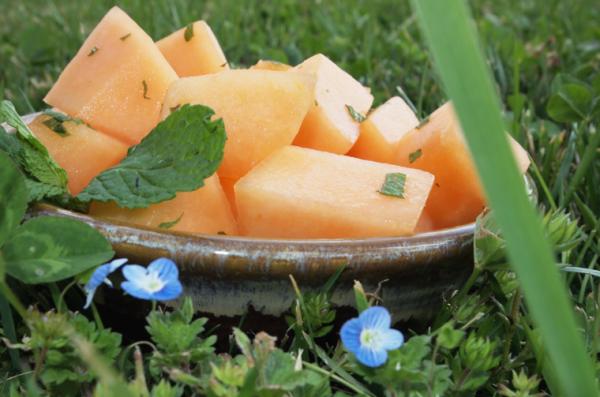 Mint Cantaloupe