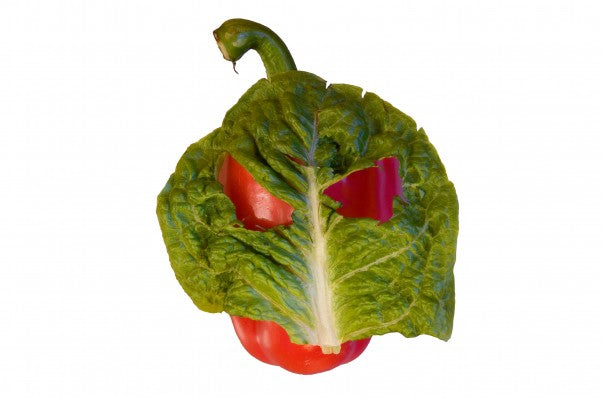 Holy Basil, Batman... Catwoman's Gone Vegan!