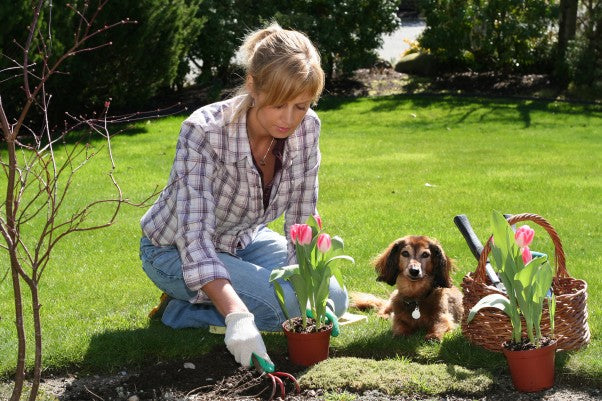 Gardening Is Great Exercise