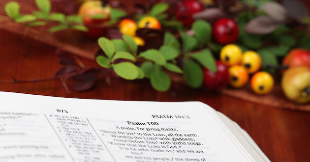 What Did God Tell Us We Should Eat? (Part 3)