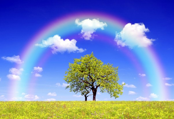 Powerful Response to "Where Is God In Time of Sickness"