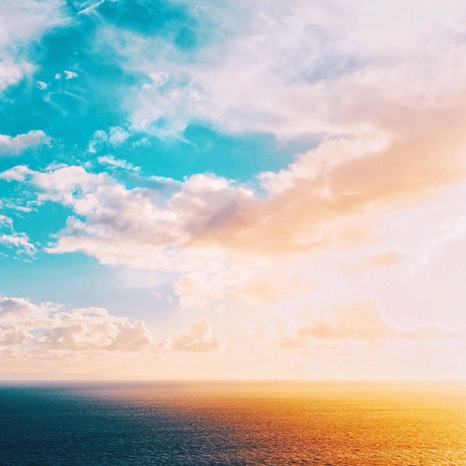 Ann discusses her and Paul's dynamic partnership and friendship.