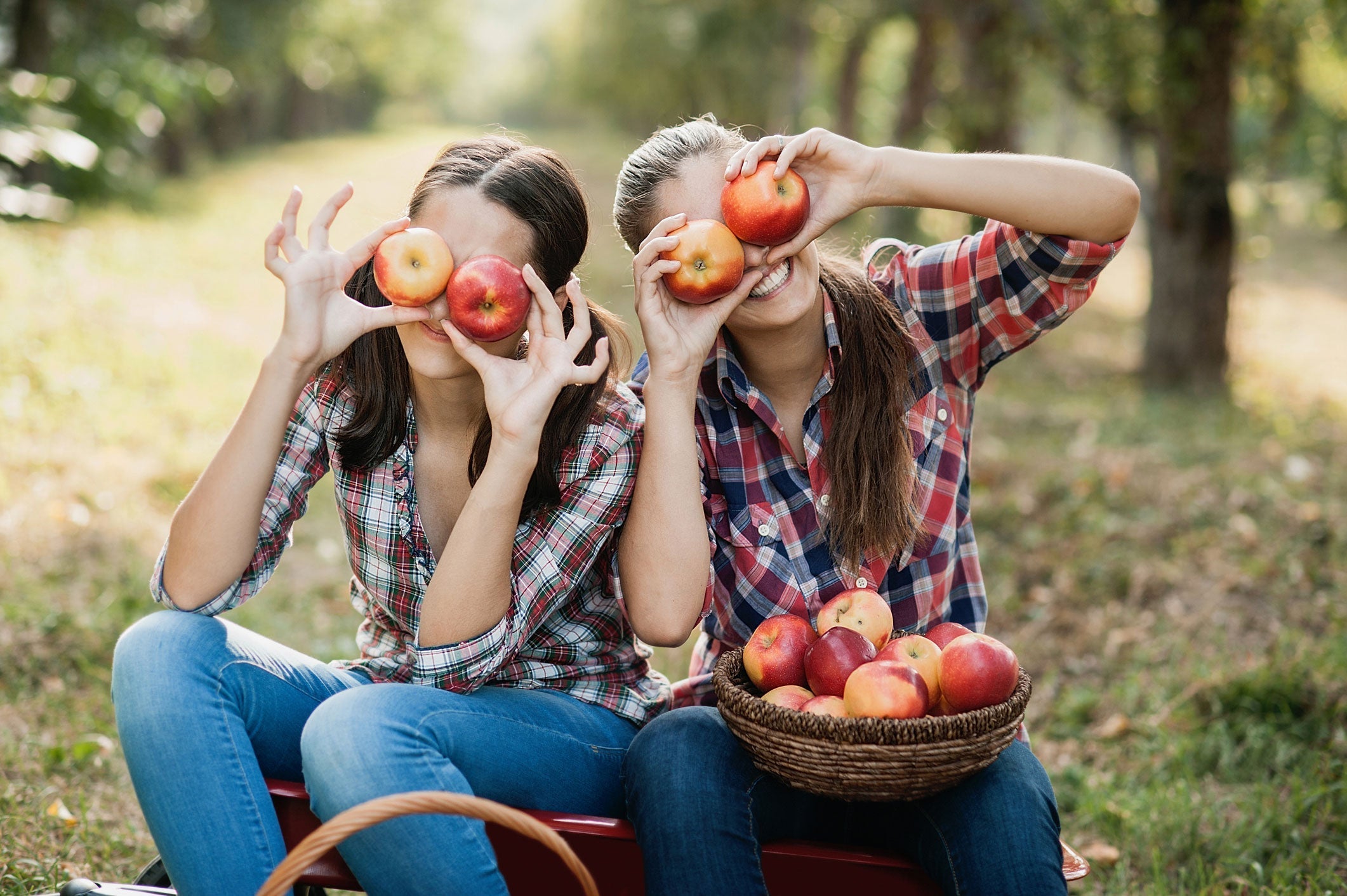 The Wonderful Energy of Apples: Nature’s Crunchy Superfood The Wonderful Energy of Apples: Nature’s Crunchy Superfood