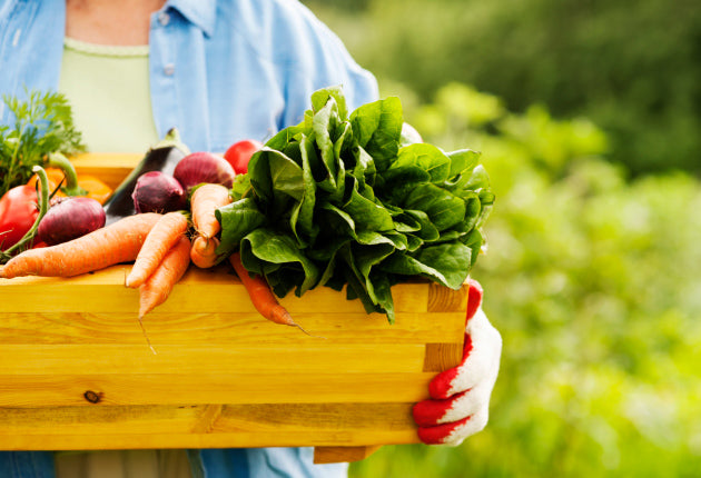Back To The Garden - Returning To Dietary Truth