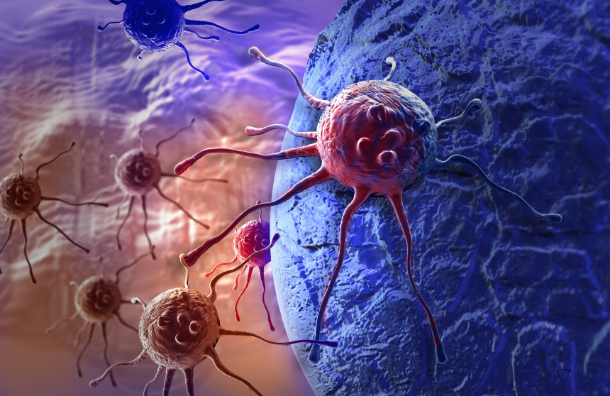 Don't Feed the Cancer Cells!