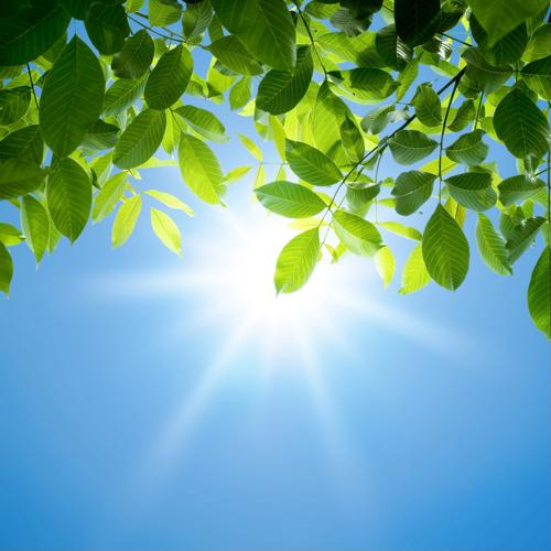 Contrary to popular belief, sunscreen isn't your best option for protection.