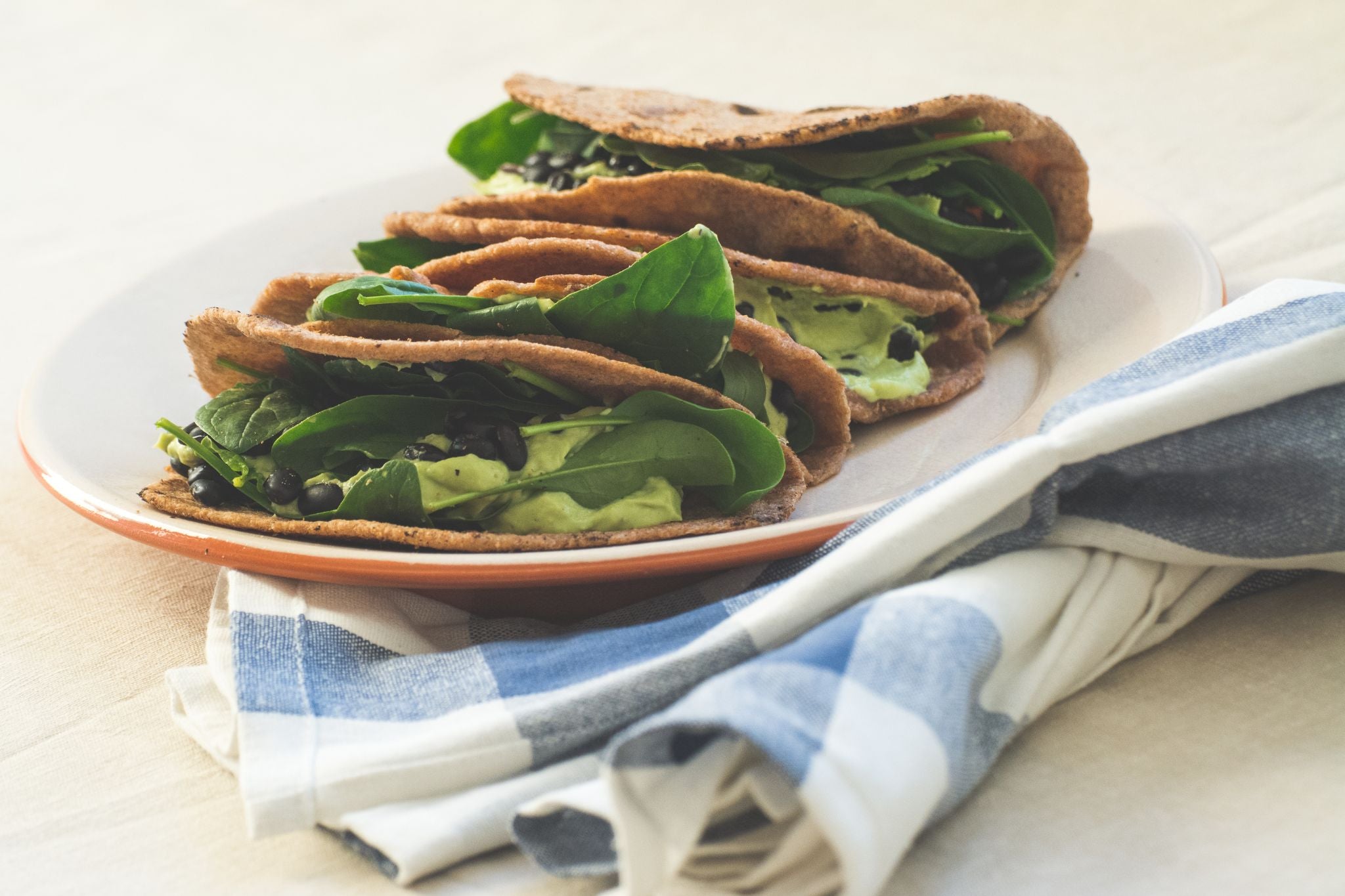 Jan's Veggie Tortilla