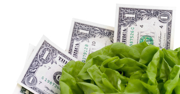 How To Obtain and Maintain Wellness... And Save Money!