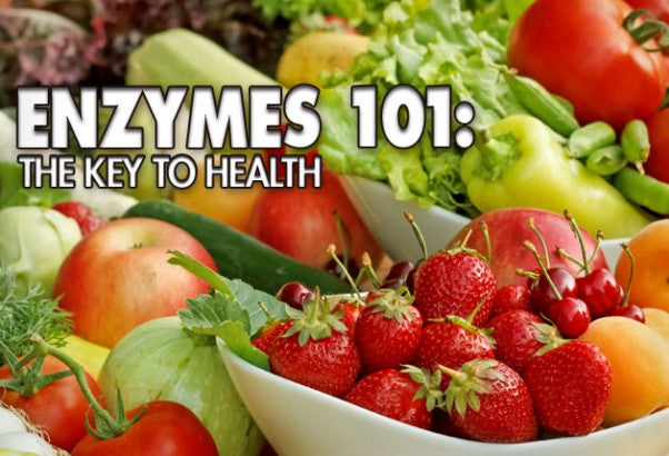 Enzymes 101: The Key To Health