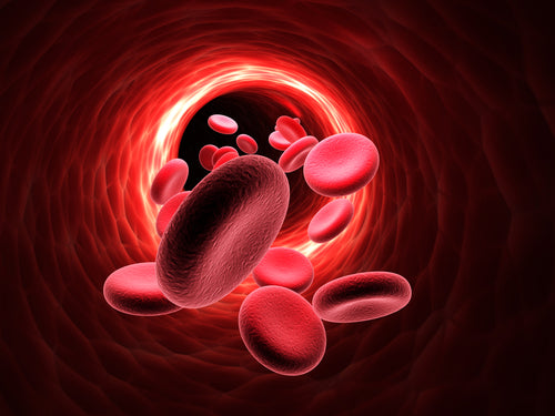 Flow of blood inside an artery