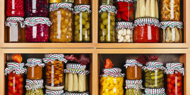 Food Preservation for a Raw Food Diet