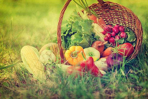 Basket With Fresh Organic Vegetables