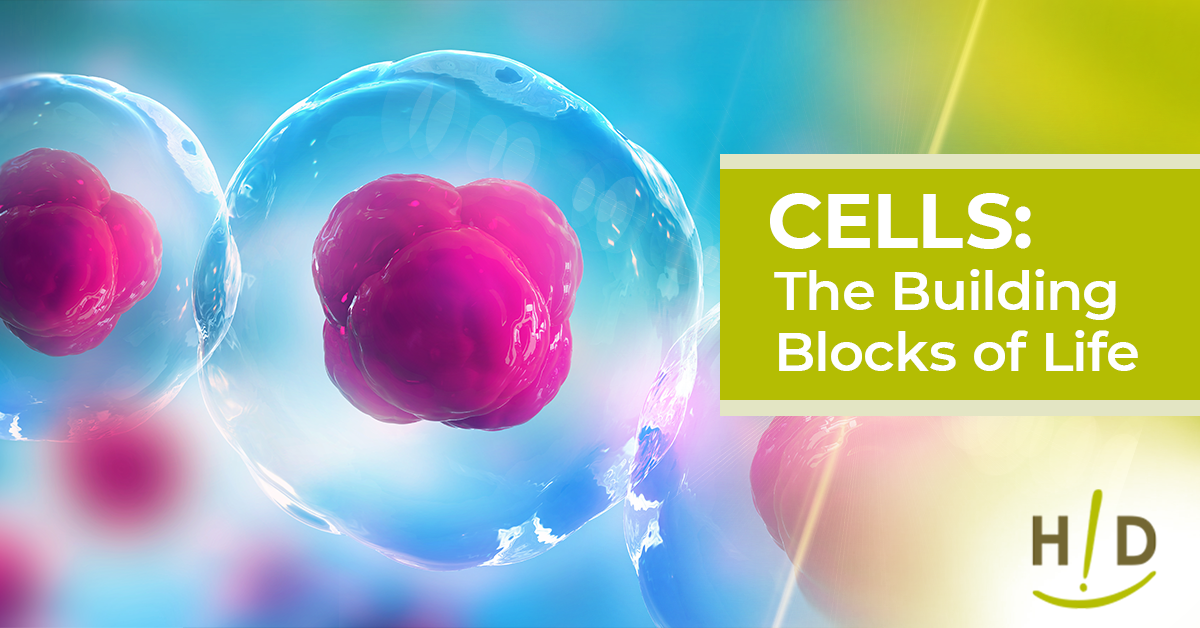 Cells: The Building Blocks of Life