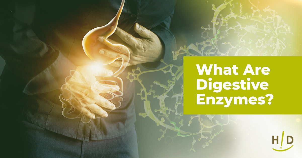 What Are Digestive Enzymes?