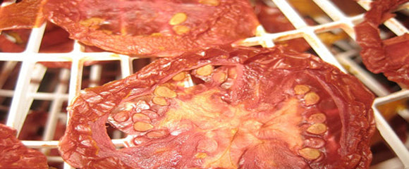 Rhonda's Dehydrated Tomatoes