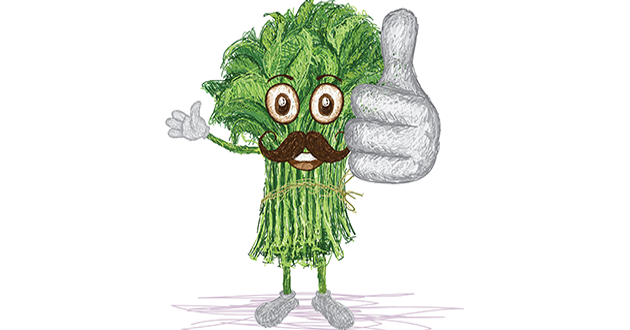 The Top 4 Life Changing Leafy Greens