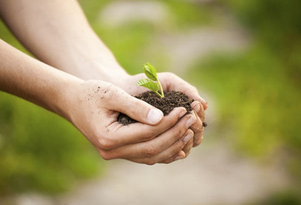 Natural Protection in the Fight Against Colon Cancer