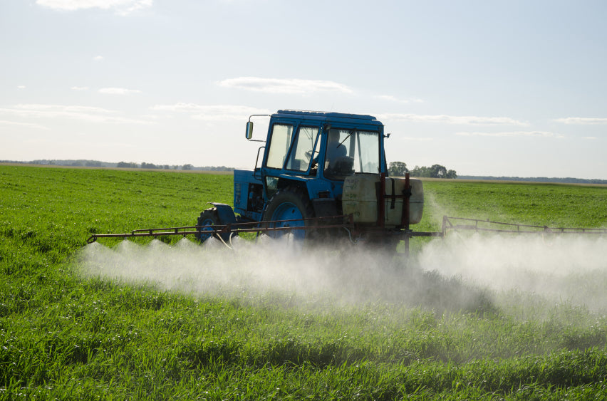 What You Need to Know About Pesticides and Cancer