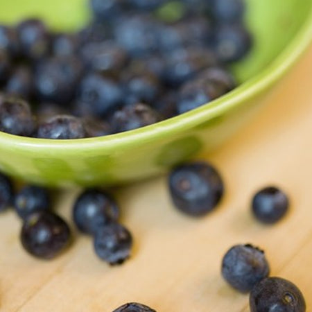 Raw Organic Blueberry Pie