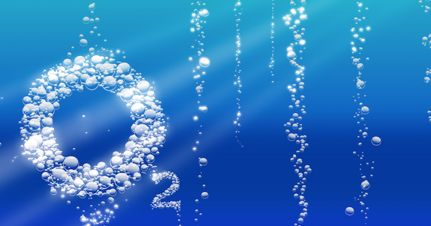 What Makes The Difference Between Life and Death?