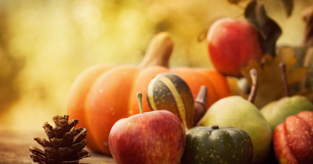 The Origin of Thanksgiving