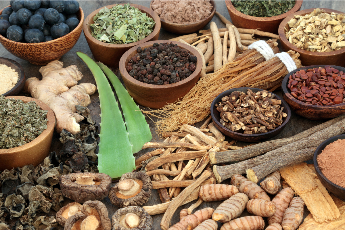 The Potential Benefits of Vegan Adaptogens