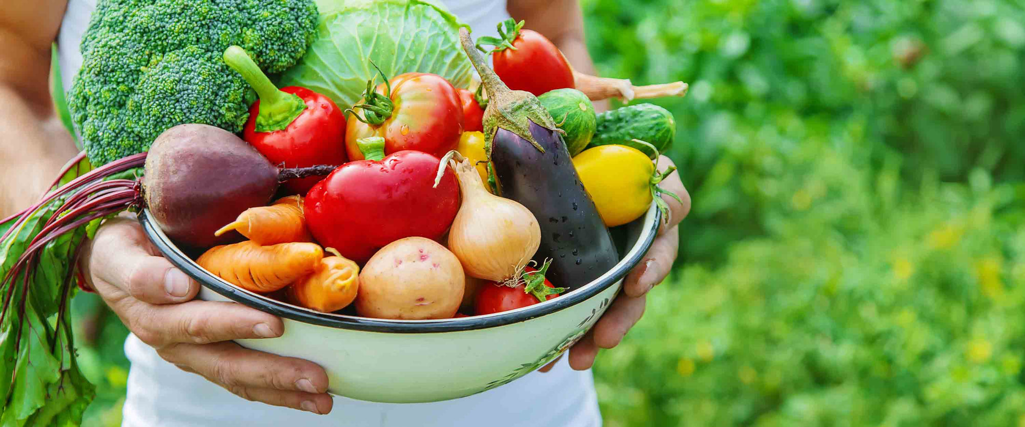 A Vegetable Medley