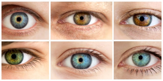 Vitamins that contribute to eye health