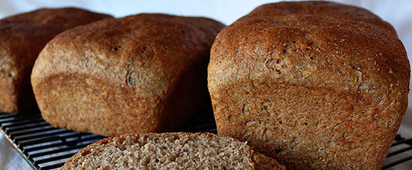 Whole Wheat Bread