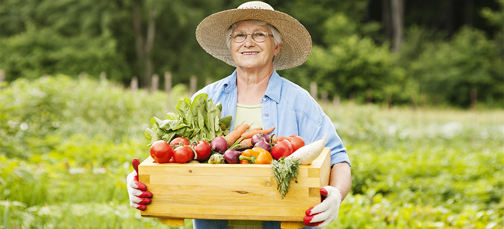 Which Vegetables are Best for You?