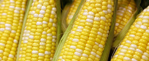 Aleta’s Baked Holiday Corn