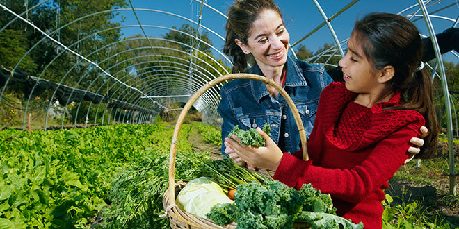 Gardening Guide #2: Gardening With Seeds