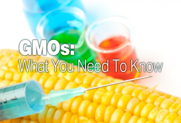 GMOs: What You Need To Know