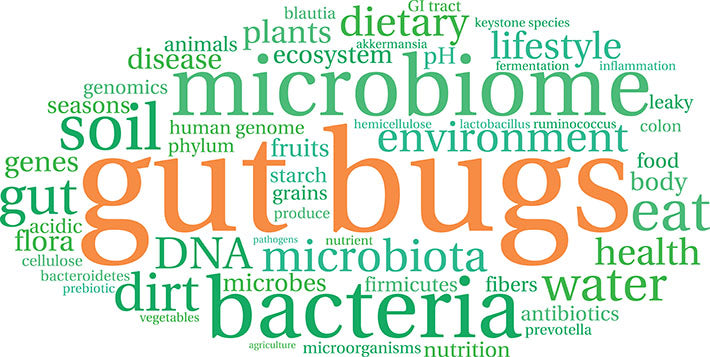gut bugs word cloud
