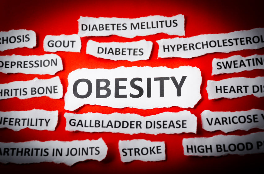 Why is the Standard American Diet Making People Fat and Sick?