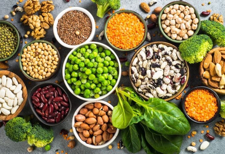 The Finest Protein Sources for Vegan Diets
