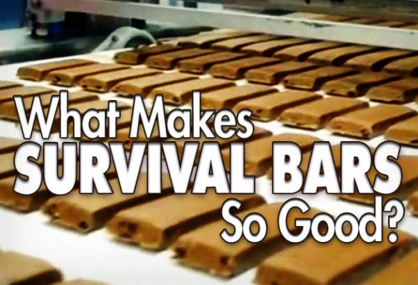 What Makes Survival Bars So Good?
