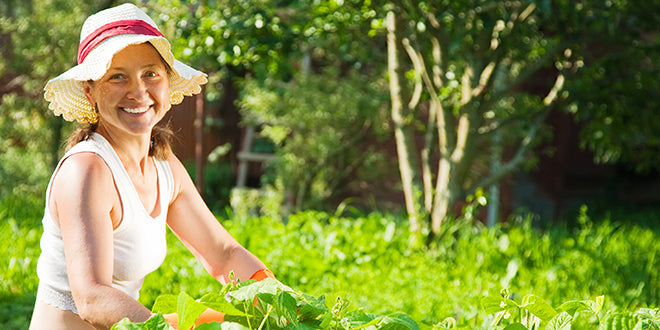 Gardening Guide #4: Proper Watering