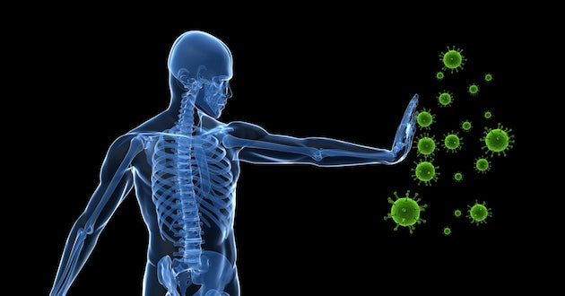 God's Protection: Our Immune System