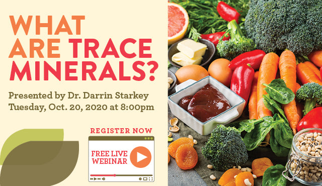 What are Trace Minerals Webinar