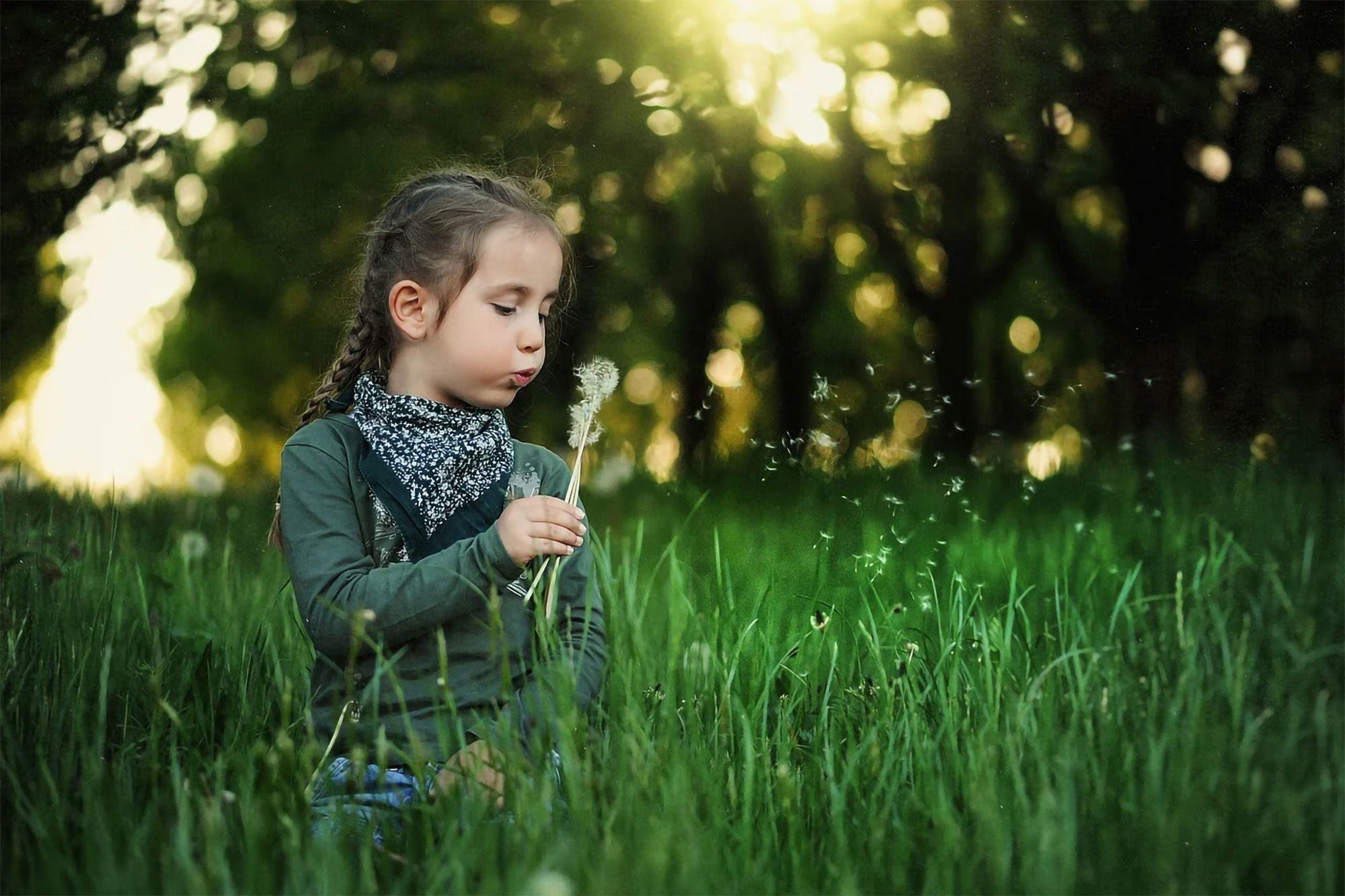 Barley Grass and Bz-TMF: A New Approach to Managing Diabetes
