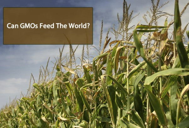 Can GMOs Feed The World?