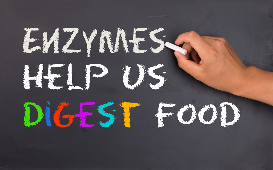 The Importance of Enzymes for Disease Prevention