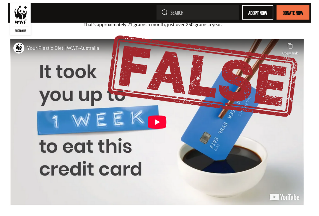 The Truth About Microplastics: Are We Really Eating a Credit Card Every Week?