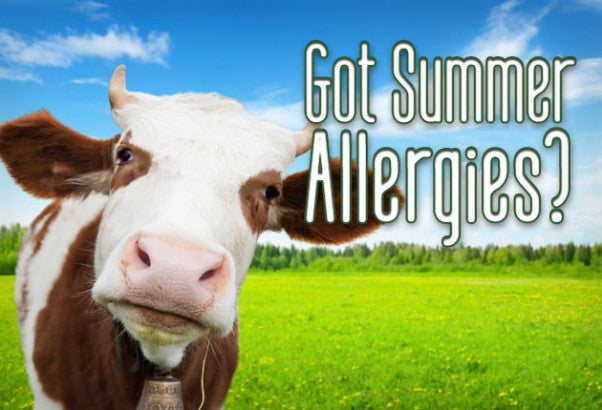 Got Summer Allergies?