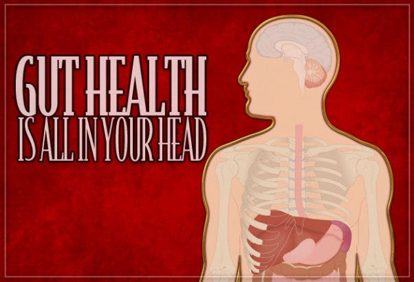 Gut Health Is All In Your Head