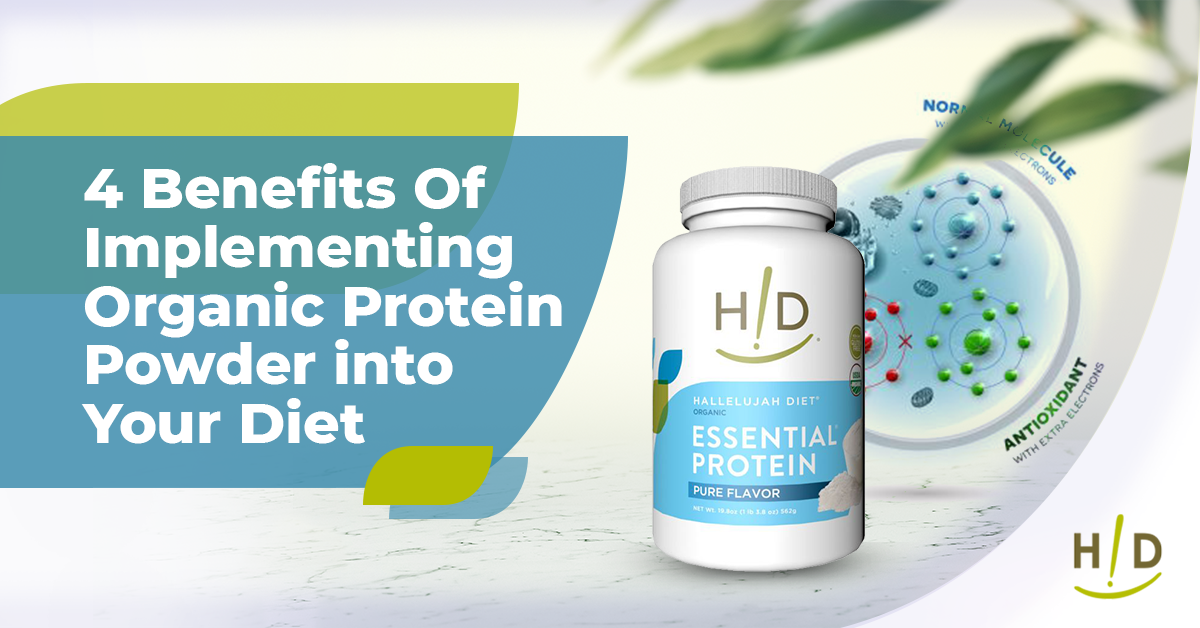 organic protein powder