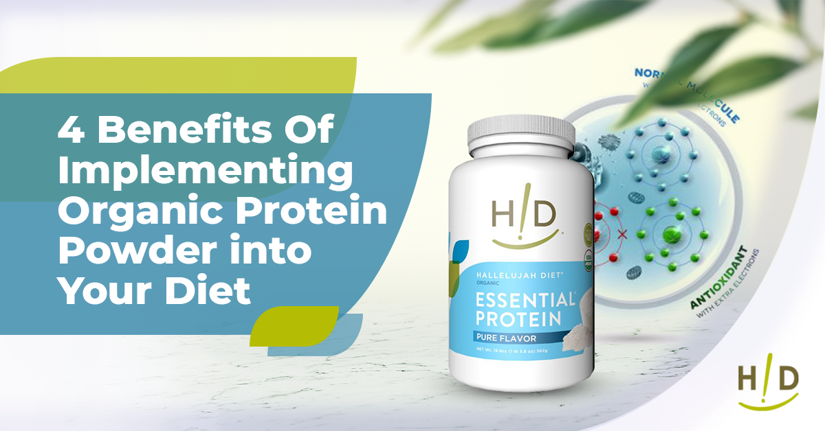 4 Benefits Of Implementing Organic Protein Powder into Your Diet