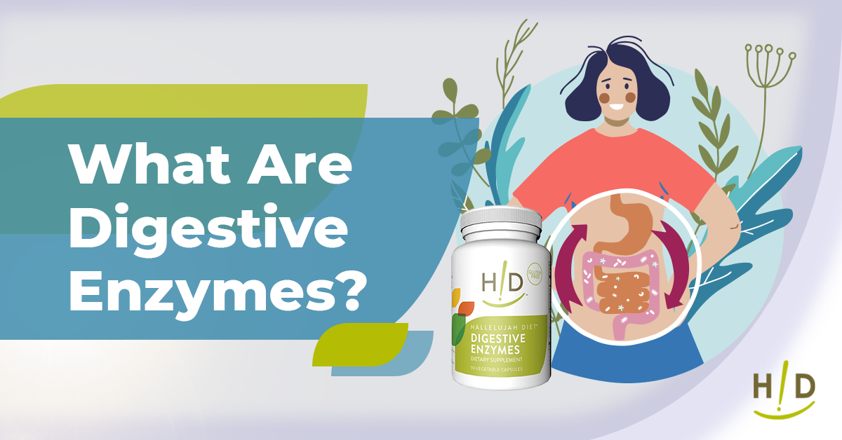What Are Digestive Enzymes?
